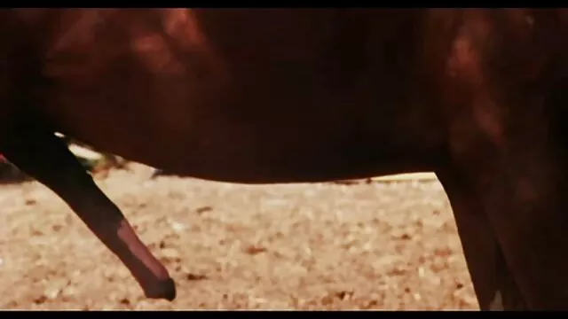 babe videos porno amador nacional in pov handjob